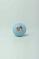 Timeless Hand-Painted Ceramic Cabinet Knob in Colour — lifestyle view, G Decor